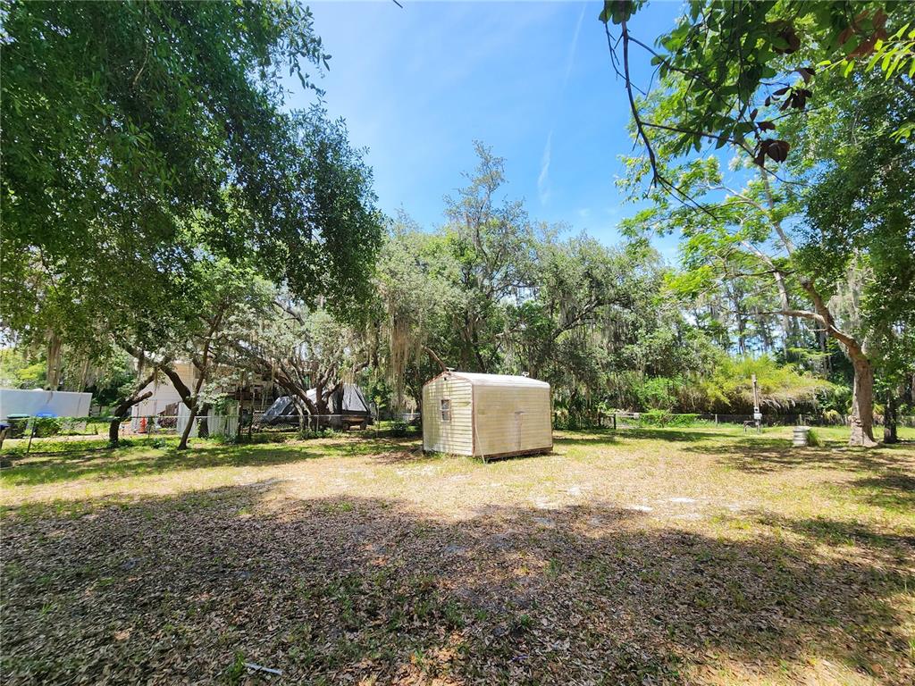 A small, weathered storage shed sits in a grassy, tree-filled backyard under a blue sky — 16950 ARROWHEAD BOULEVARD, WINTER GARDEN, FL