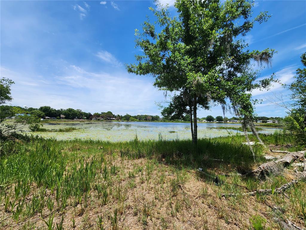 A grassy shoreline overlooks a lake covered with lily pads under a blue sky — 16950 ARROWHEAD BOULEVARD, WINTER GARDEN, FL