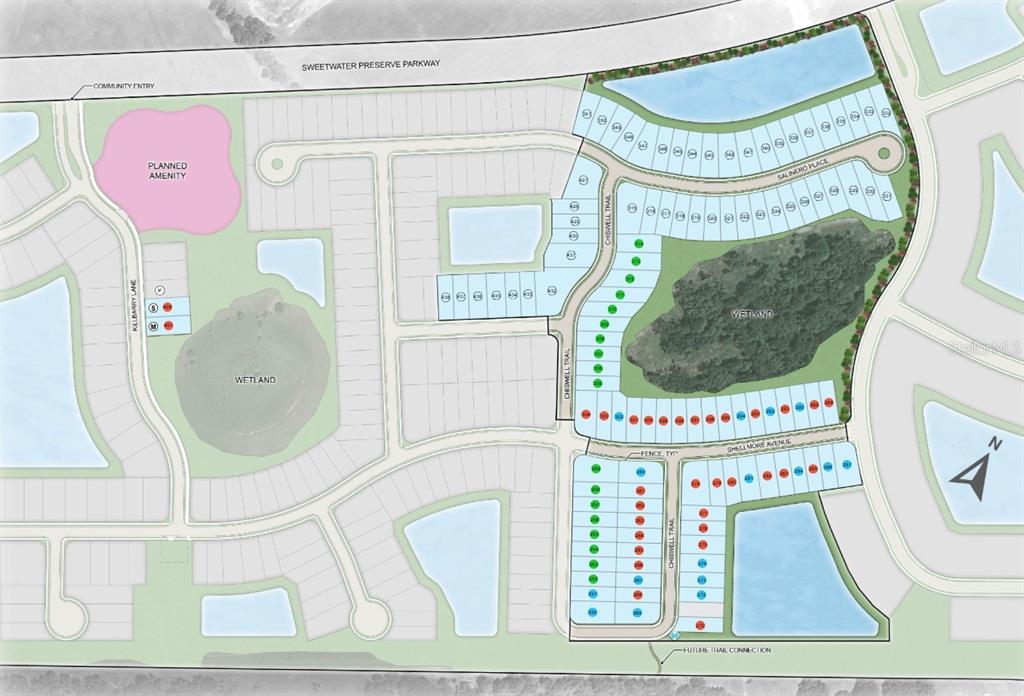 This is a site plan rendering of a residential community featuring lots, wetlands, and roads — 9309 CHISWELL LANE, PALMETTO, FL