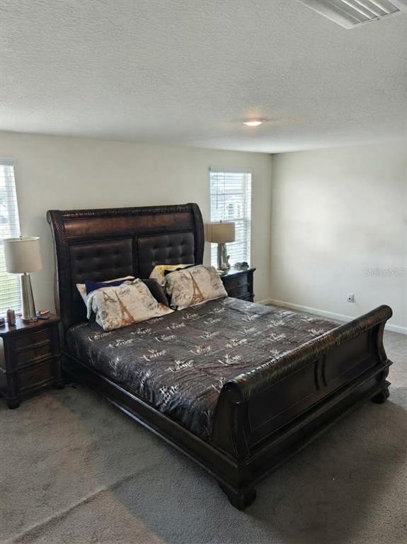 5058 GRANITE DUST PLACE, PALMETTO, FL — photo 4 of 20