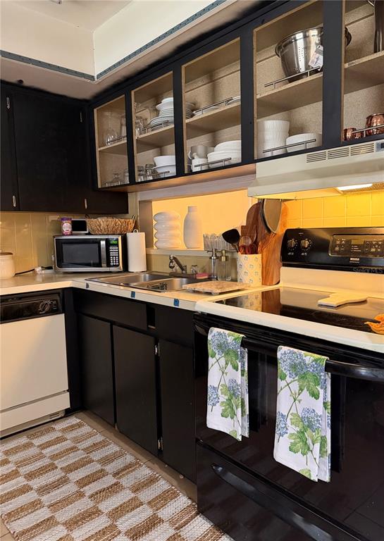 A kitchen features black cabinets, a white dishwasher, a black stove, and a checkered rug — 533 CASCADE CIRCLE UNIT 103, CASSELBERRY, FL