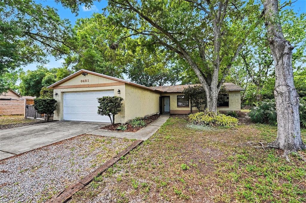 6481 ELMHURST COURT