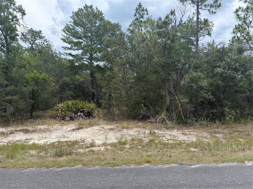 A vacant, wooded lot with sandy soil sits adjacent to a paved road — 6215 S PREMIERE AVENUE, HOMOSASSA, FL