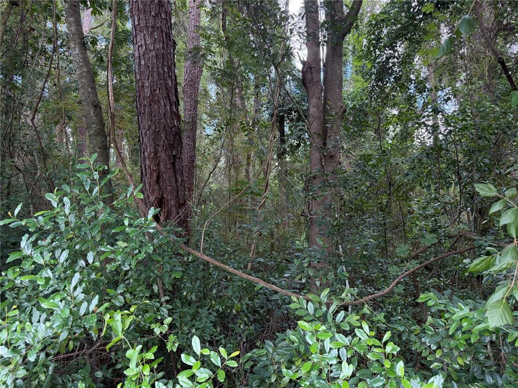 1915 NW 34TH STREET, GAINESVILLE, FL — photo 4 of 6