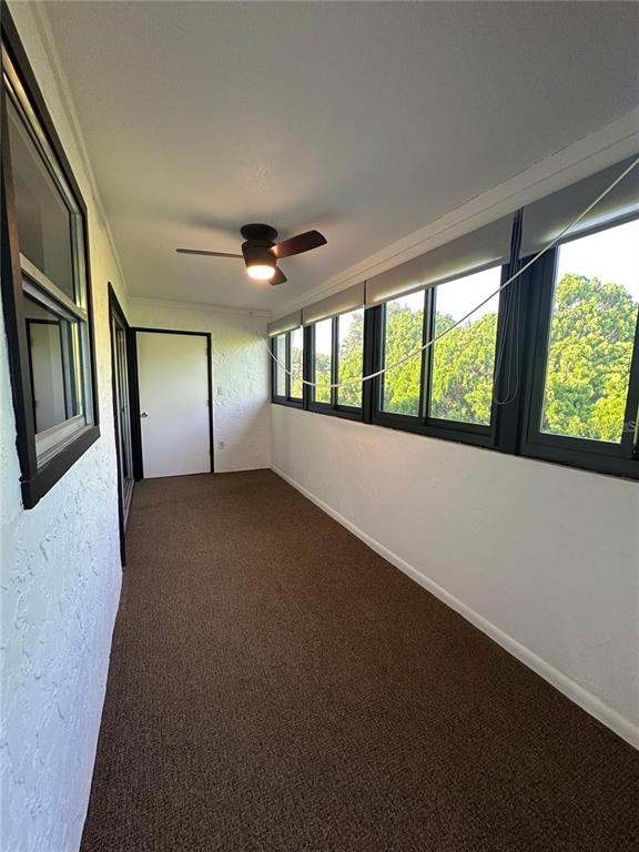 514 WINDRUSH BAY DRIVE, TARPON SPRINGS, FL — photo 5 of 22