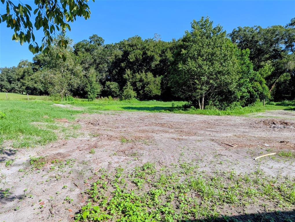A cleared, sandy lot sits in front of a dense line of trees — 21320 SENECA HILLS ROAD, EUSTIS, FL