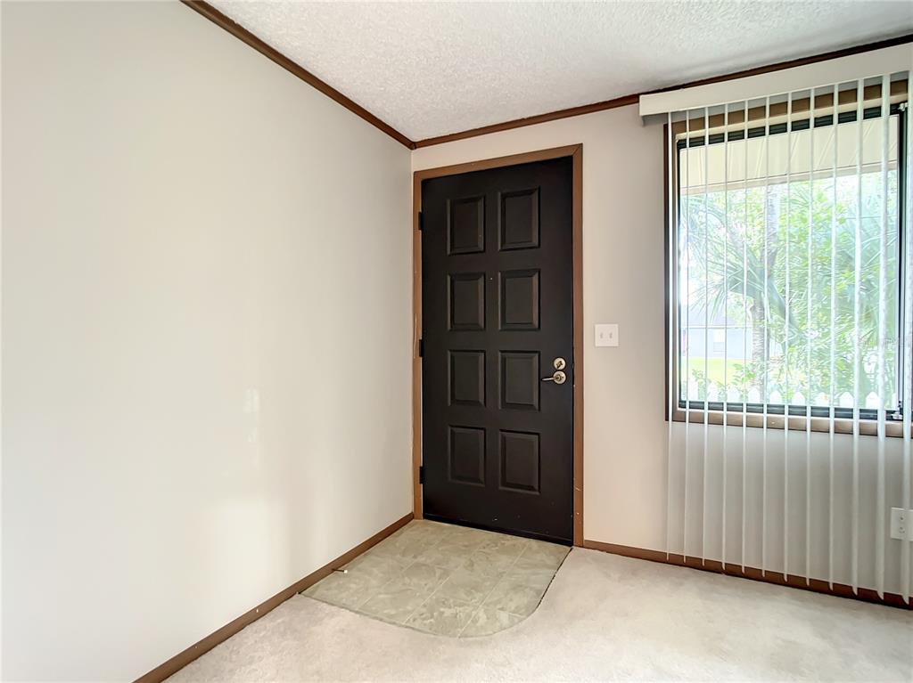 310 CAMELLIA STREET, CHULUOTA, FL — photo 3 of 28