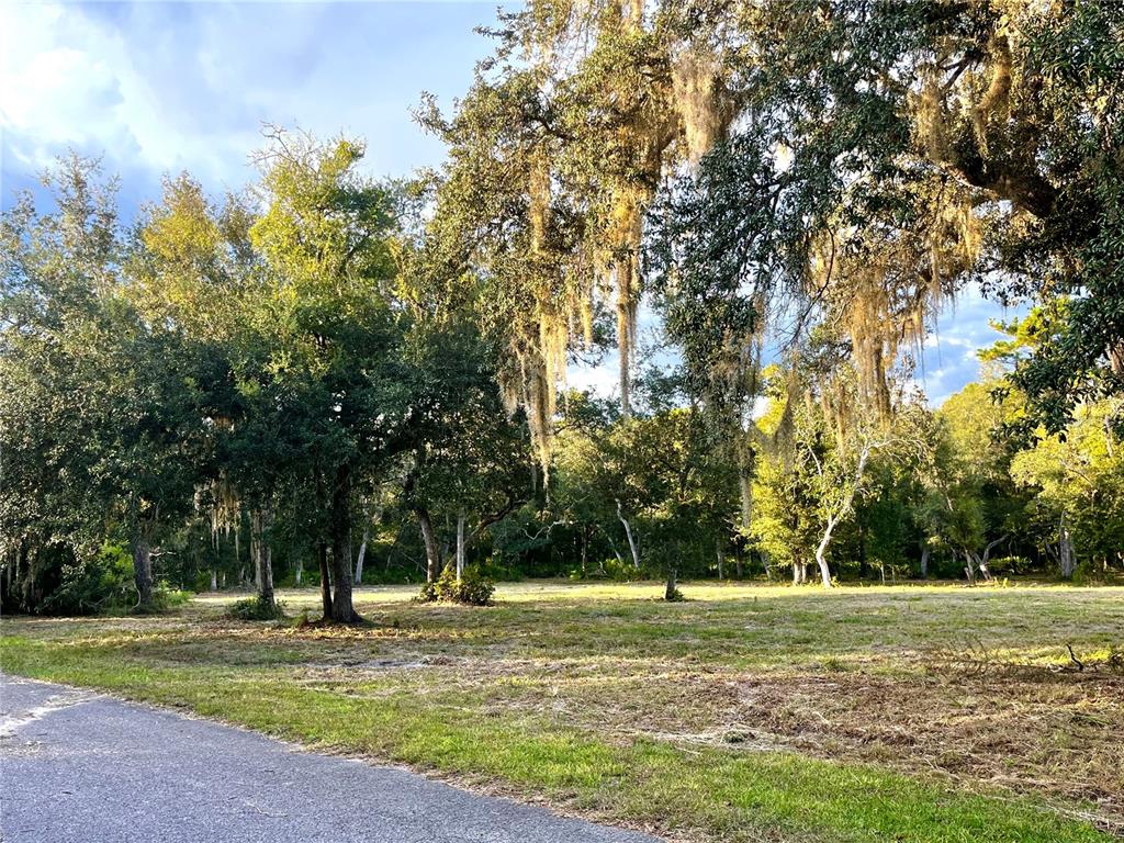 CANAL STREET, FANNING SPRINGS, FL — photo 2 of 15