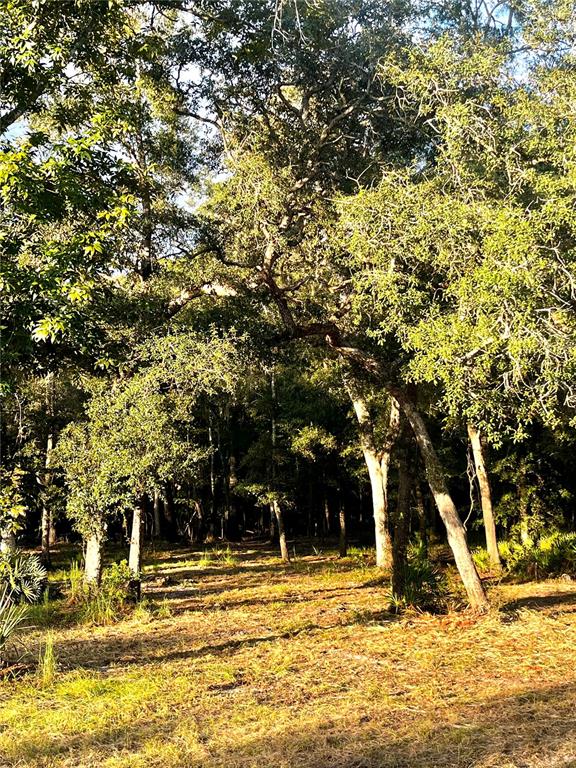 CANAL STREET, FANNING SPRINGS, FL — photo 4 of 15