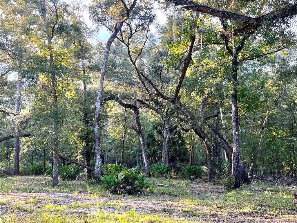 CANAL STREET, FANNING SPRINGS, FL — photo 5 of 15