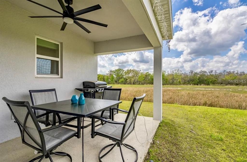 1136 PAPAYA CIRCLE, DAVENPORT, FL — photo 5 of 30