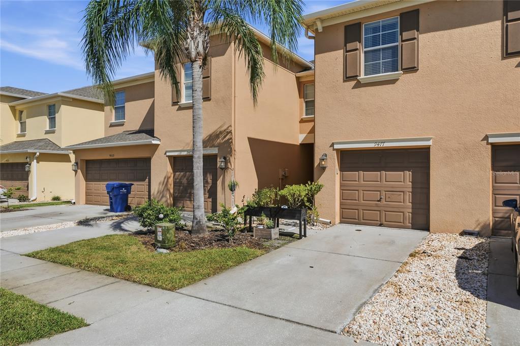 A row of tan townhouses with brown garage doors and a palm tree in front — 9477 TRUMPET VINE LOOP, TRINITY, FL