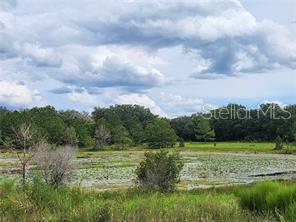 A view of a grassy field with a pond and a line of trees — ORANGE RD, OCKLAWAHA, FL