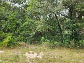 A view of a densely wooded, undeveloped lot with patches of grass and sandy soil — ORANGE RD, OCKLAWAHA, FL
