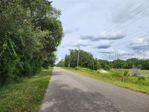 A paved road stretches through a rural landscape with trees on the left and fields — ORANGE RD, OCKLAWAHA, FL