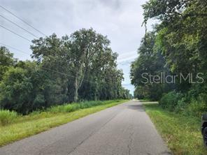 A paved road stretches into the distance, flanked by dense green trees and grassy shoulders — ORANGE RD, OCKLAWAHA, FL