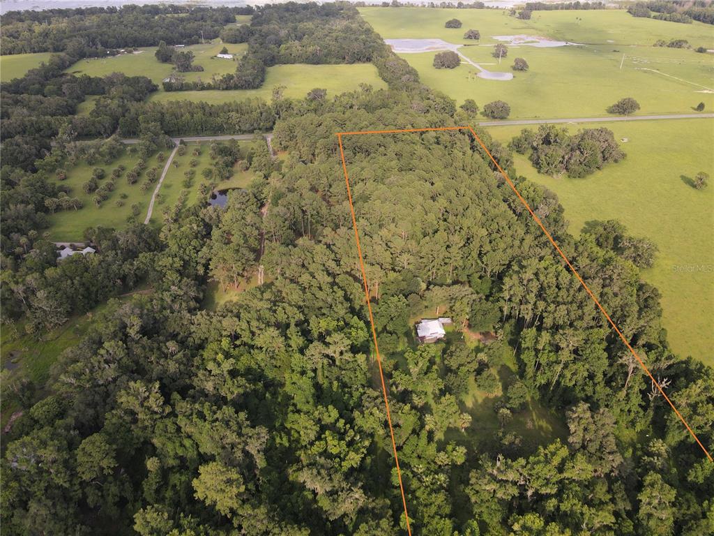 An aerial view shows a house nestled within a large, wooded lot outlined in orange — 15208 SW WILLISTON RD, MICANOPY, FL