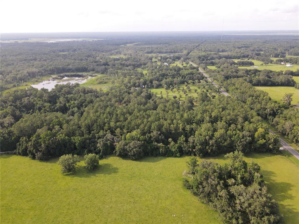 An aerial view shows a large, grassy pasture bordered by dense woods and a road — 15208 SW WILLISTON RD, MICANOPY, FL