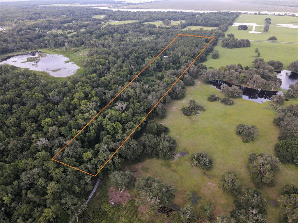 An aerial view shows a rectangular plot of forested land outlined in orange near pastures — 15208 SW WILLISTON RD, MICANOPY, FL