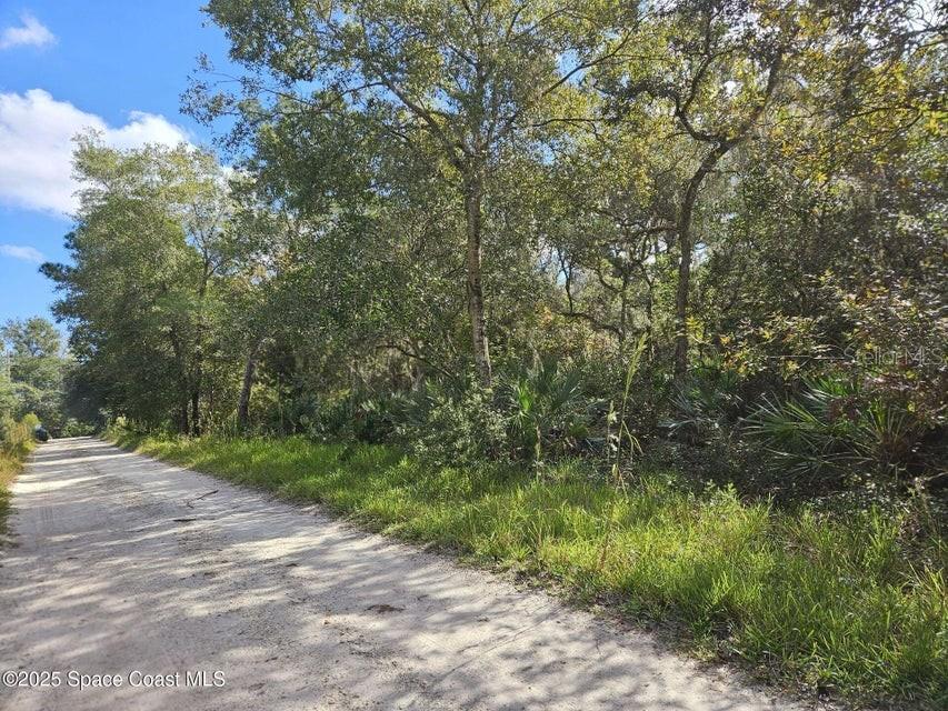 4600 BEACON LIGHT ROAD, EDGEWATER, FL — photo 5 of 11