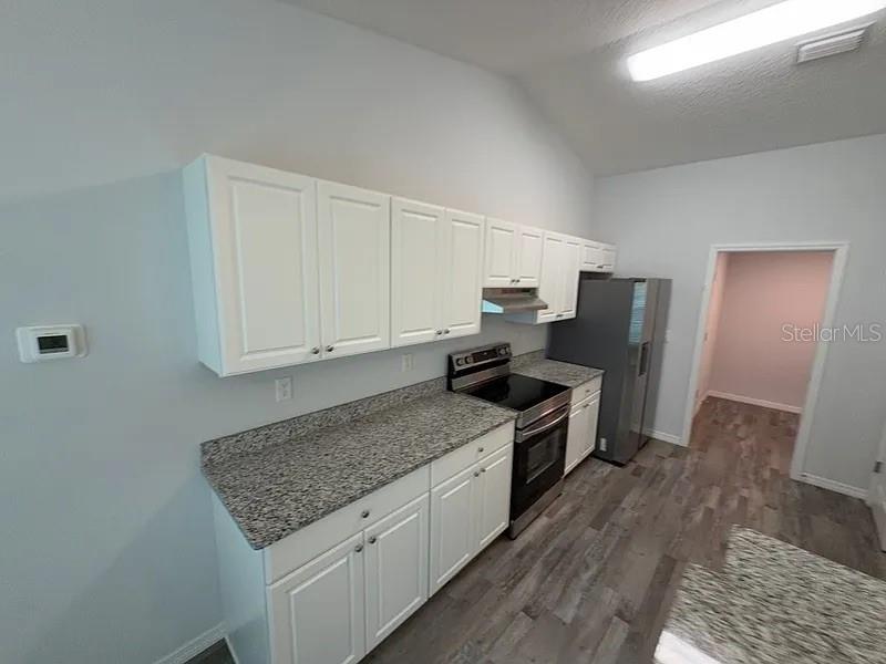 A kitchen features white cabinets, granite countertops, stainless steel appliances, and gray wood-look flooring — 15023 SE 93RD COURT, SUMMERFIELD, FL