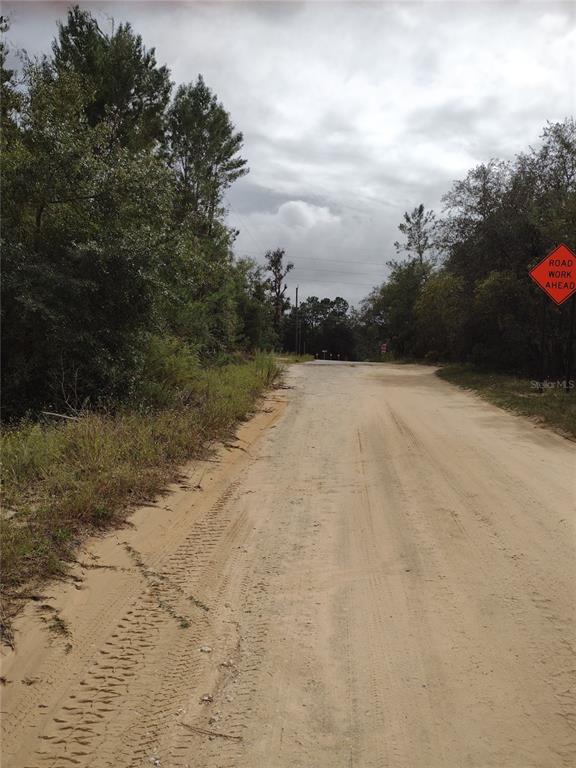 A dirt road stretches forward between trees under a cloudy sky with a road sign — 165 7TH WAY, INTERLACHEN, FL