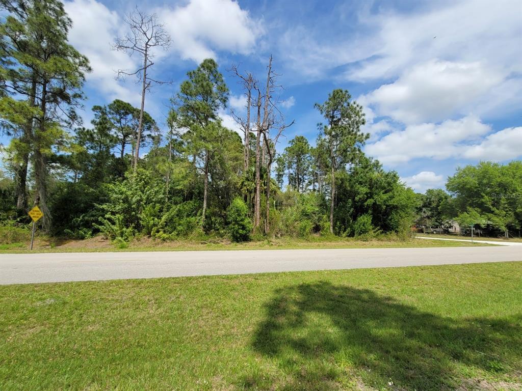 A vacant, wooded lot sits behind a paved road under a blue, cloudy sky — 421 AVENIDA DEL SUR, CLEWISTON, FL