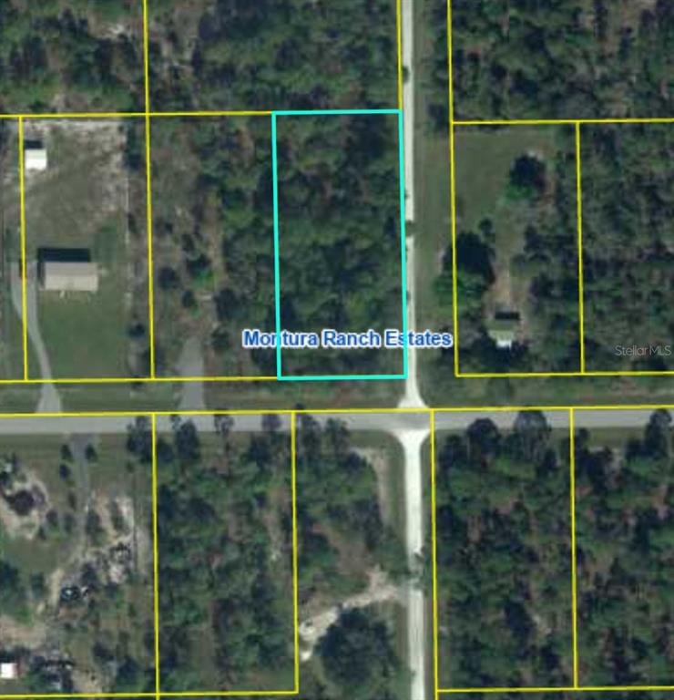This is an aerial map showing a rectangular plot of land outlined in light blue — 421 AVENIDA DEL SUR, CLEWISTON, FL