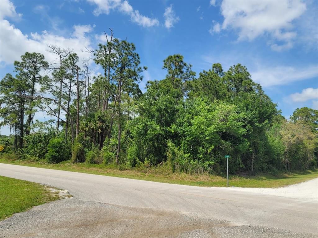 A corner lot with dense trees and vegetation sits at the intersection of two paved roads — 421 AVENIDA DEL SUR, CLEWISTON, FL