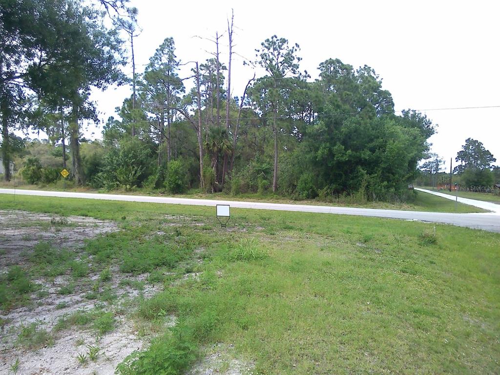 A vacant, grassy lot sits beside a paved road with a sign and wooded background — 421 AVENIDA DEL SUR, CLEWISTON, FL