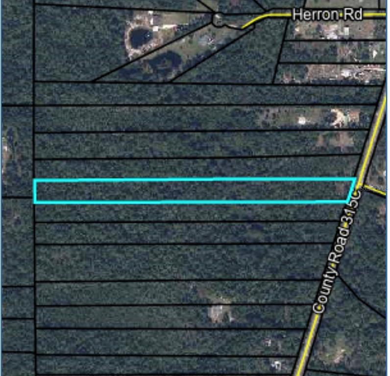 This is an aerial map showing a rectangular parcel of land highlighted in light blue — 6366 COUNTY ROAD 315C, KEYSTONE HEIGHTS, FL