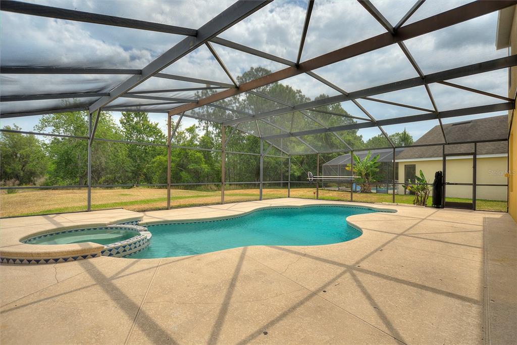 146 AFRICAN DAISY COURT, DAVENPORT, FL — photo 4 of 30