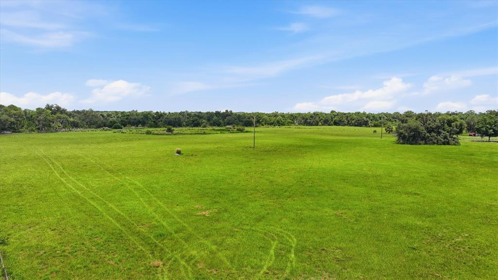 An aerial view of a large, flat, grassy field bordered by a line of trees — 13805 COUNTY ROAD 675, PARRISH, FL