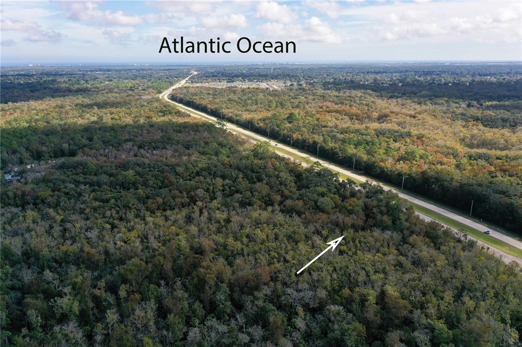 An aerial view shows a dense forest bordering a highway with the Atlantic Ocean visible — W INDIAN RIVER BOULEVARD, EDGEWATER, FL