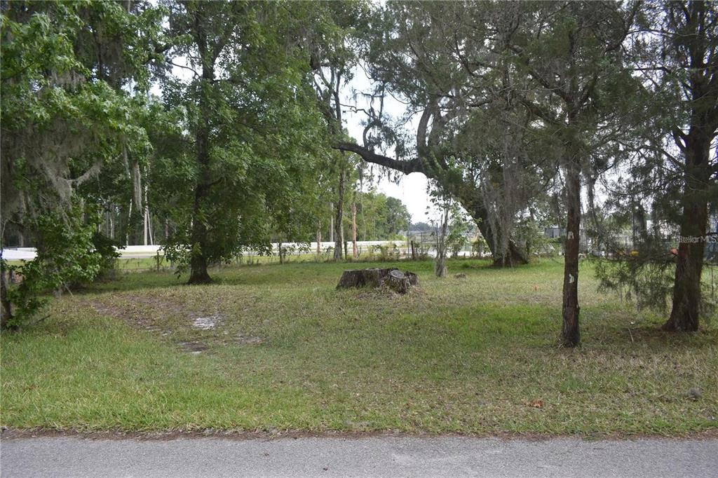 A grassy, tree-filled vacant lot is viewed from an adjacent paved road — Lot 58 Blk C LEXINGTON CIRCLE, WILDWOOD, FL