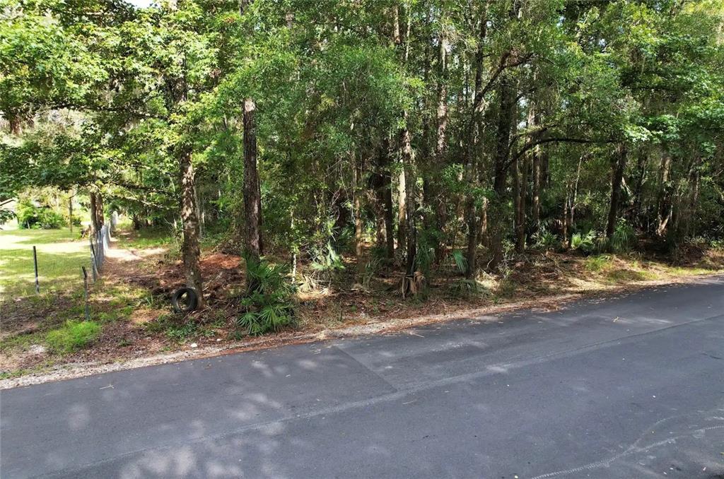 A paved road runs alongside a wooded lot with dense trees and a wire fence — 119 SANDI STREET, INGLIS, FL