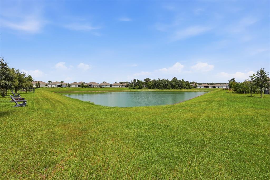 A grassy backyard features a small pond with residential houses visible in the background — 1005 CHELAN FALLS DRIVE, DELAND, FL