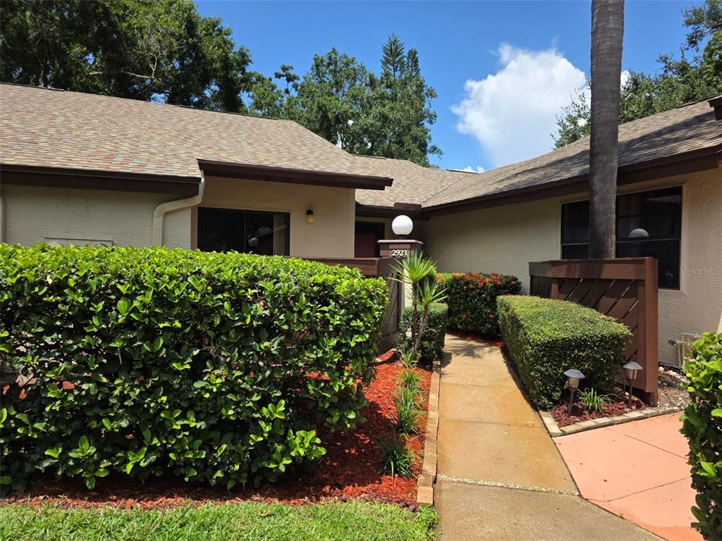 A concrete walkway leads to the entrance of a house with a large hedge — 2923 FIG COURT, PALM HARBOR, FL