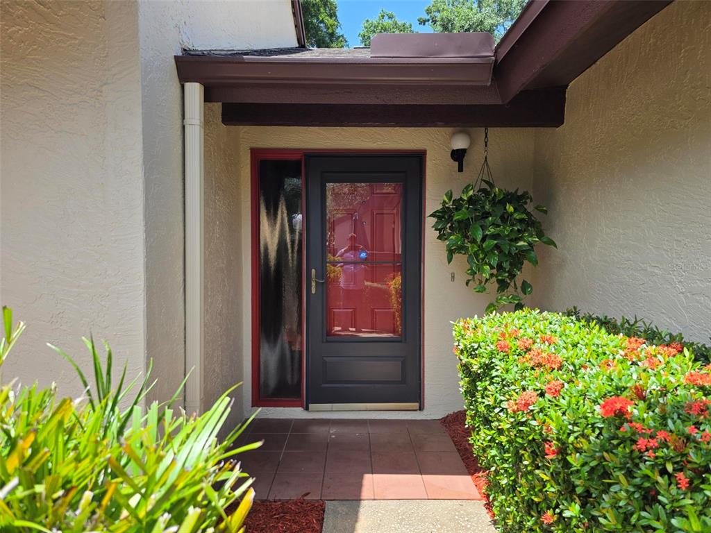 A front entryway features a dark door with a sidelight, a hanging plant, and landscaping — 2923 FIG COURT, PALM HARBOR, FL