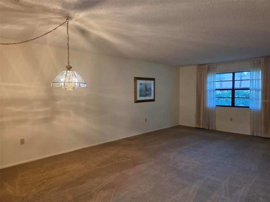 A carpeted dining room features a hanging pendant light and a window with curtains — 2923 FIG COURT, PALM HARBOR, FL