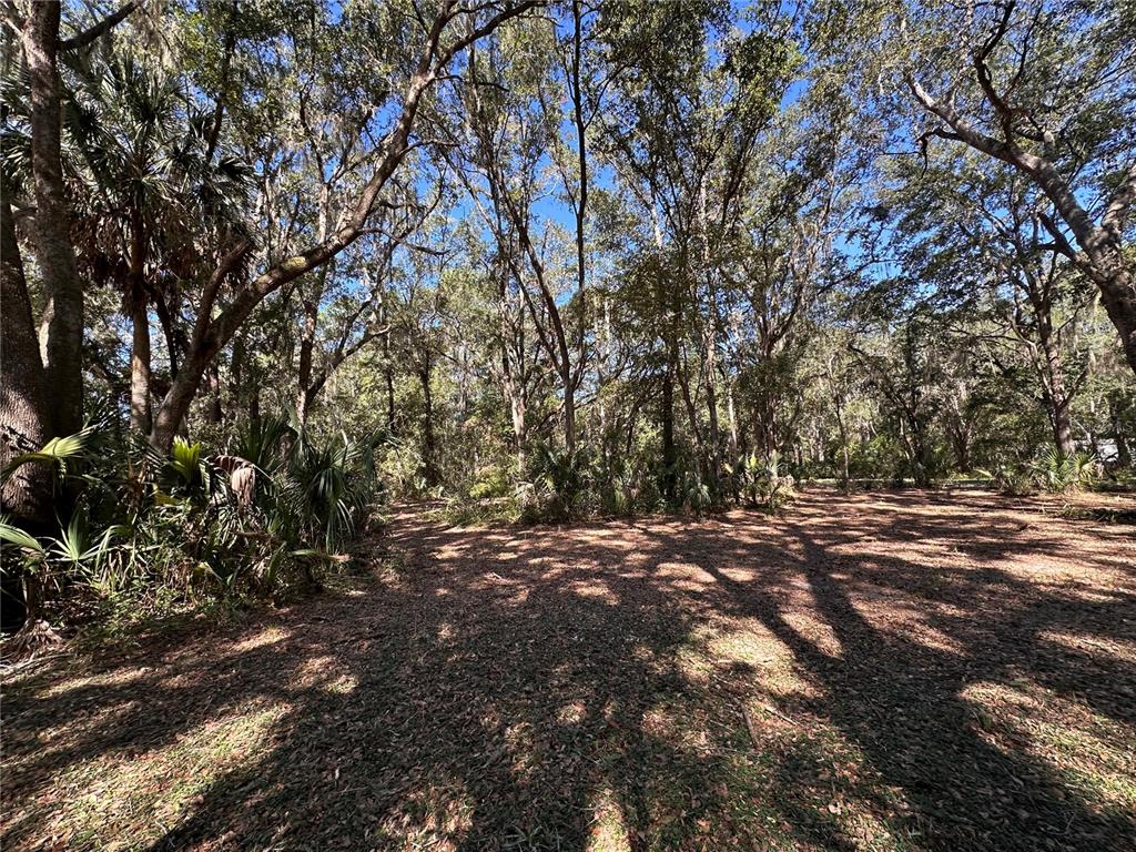 11660 NE 225TH STREET, FORT MC COY, FL — photo 2 of 4