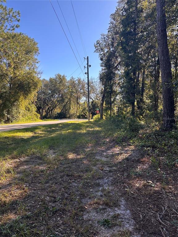 11660 NE 225TH STREET, FORT MC COY, FL — photo 3 of 4