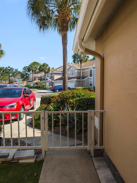A metal gate opens onto a concrete walkway beside a tan house with a downspout — 3077 BRANCH DRIVE, CLEARWATER, FL