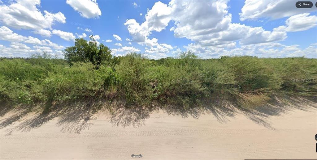 A dirt road runs alongside a vacant lot covered in dense brush and small trees — HOLOPAW GROVES ROAD, ST CLOUD, FL