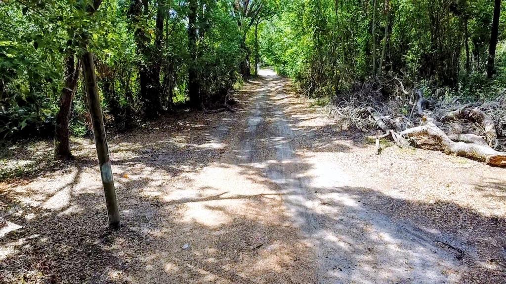 A dirt path leads through a wooded area with a utility pole on the left — 6981 HOLLY STREET, MOUNT DORA, FL