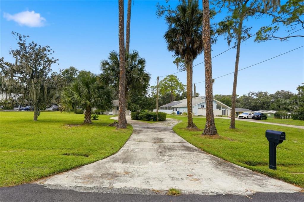 A concrete driveway leads toward a house surrounded by palm trees and a grassy lawn — 2228 RIVER RIDGE ROAD, DELAND, FL