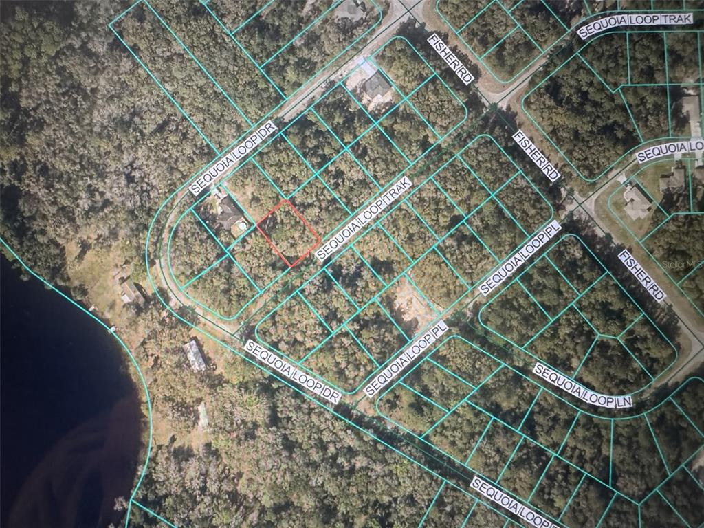 This is an aerial map showing a residential lot outlined in red among wooded properties — SEQUOIA LOOP TRACK, OCKLAWAHA, FL