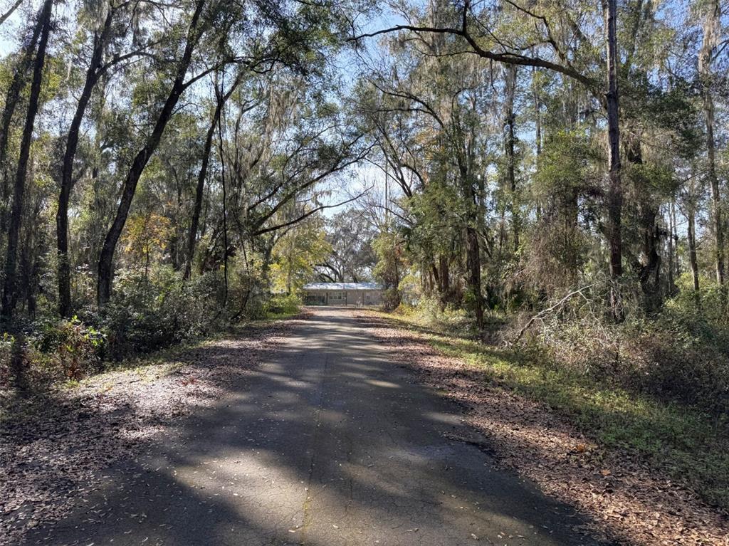 A paved road leads through a wooded area toward a small house in the distance — SEQUOIA LOOP TRACK, OCKLAWAHA, FL