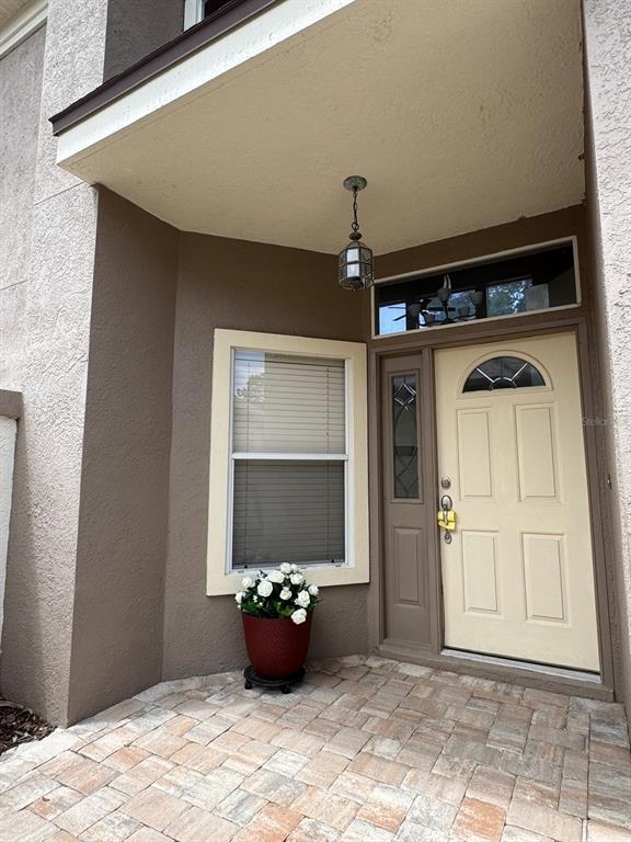 A front entryway features a paved porch, a light-colored door, and a window with blinds — 5121 FAIRWAY ONE DRIVE, VALRICO, FL