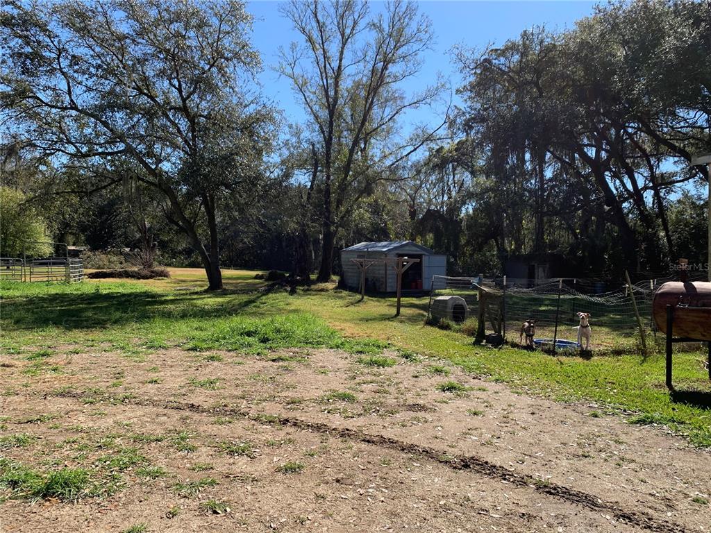 A grassy backyard features a metal shed, a fenced dog enclosure, and several large trees — 5614 WATSON, RIVERVIEW, FL